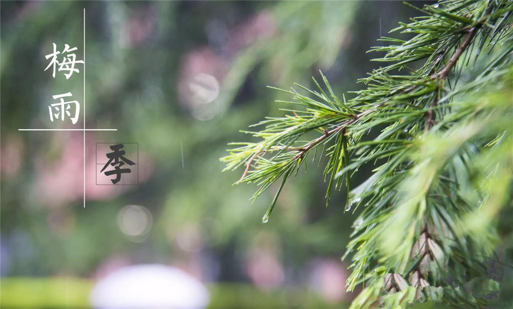 雨季到來(lái)，涂料施工需注意哪些問題